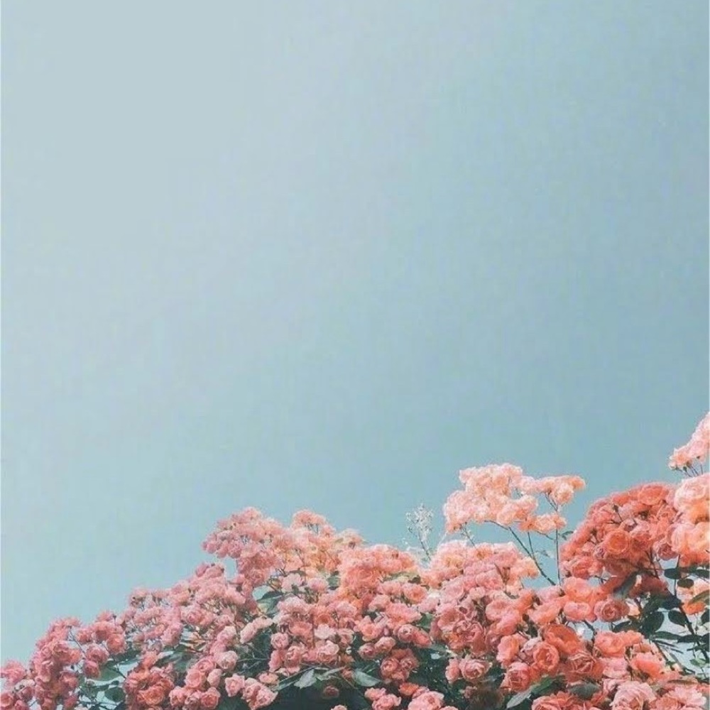 Meet your Posher, Addison